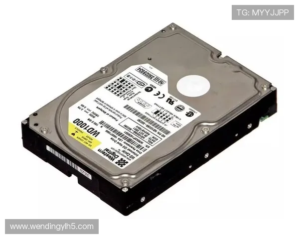 问鼎电脑版下载适配指南，确保不同电脑配置都能顺畅运行