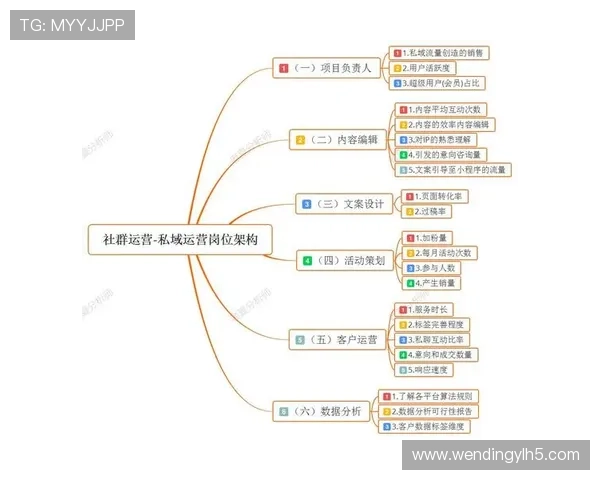 问鼎网站：通过社交媒体整合增强网站影响力和用户粘性的具体操作方案