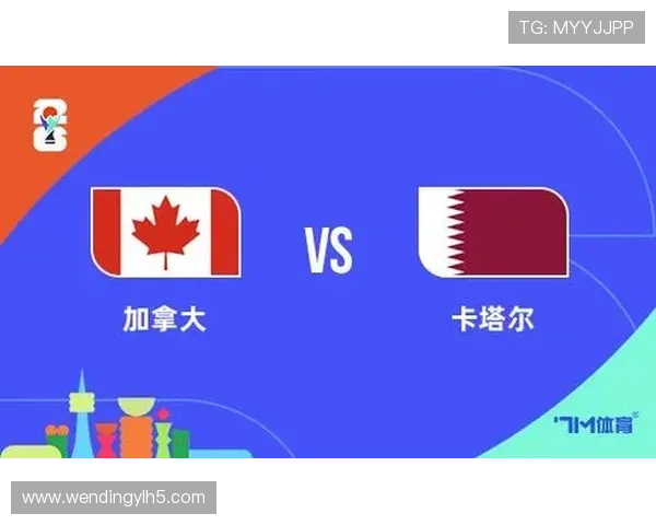 加拿大与卡塔尔队伍表现数据分析及比赛中的关键表现